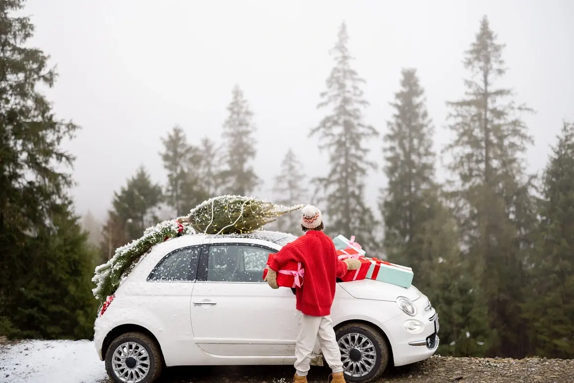 Коледни пътувания: дестинации у нас, които си струват и как да стигнем до тях безопасно