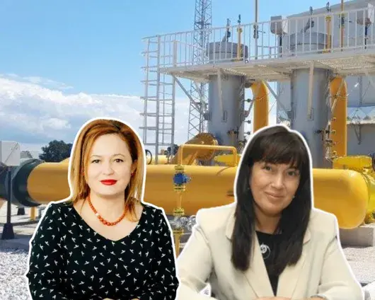 Бивш посланик поема управлението на газовата връзка с Гърция