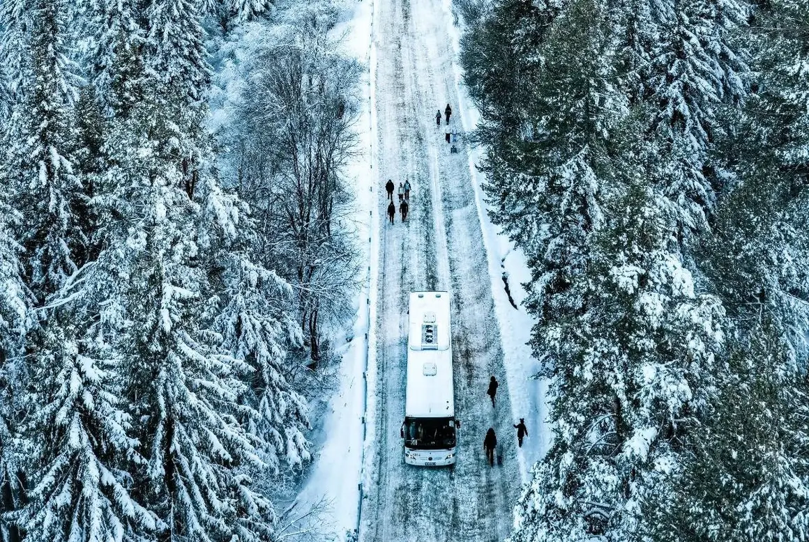 Общината призова да се спазва забраната за коли на Витоша