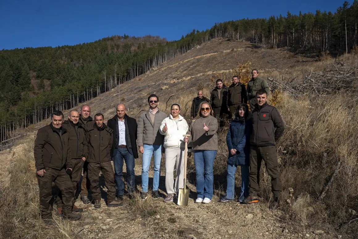 От първото адаптирано мляко до залесената гора, или как грижата се превръща в бизнес модел