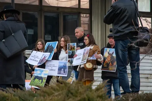 След пожара във „Фанагория“ - загинали са седем коня, има съмнения за умишлен палеж