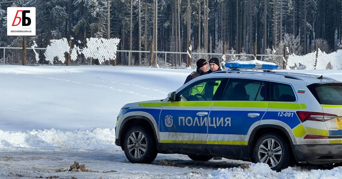 Три мъртви тела са намерени в гората над Враца, а