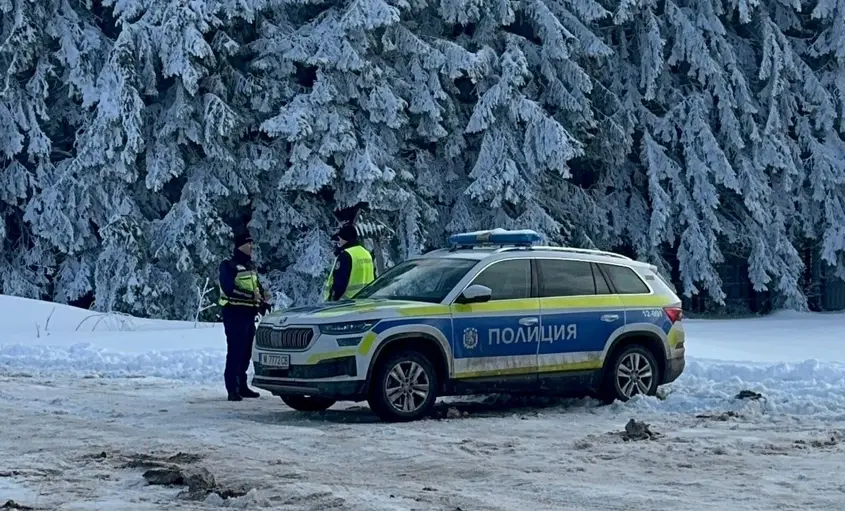 "Туин Пийкс" в Петрохан или мъглата от версии за тройното убийство