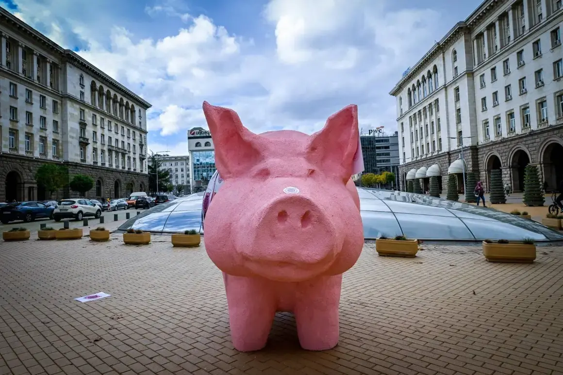 Кметът на Кърджали забрани прасето касичка на ПП-ДБ да влиза в града