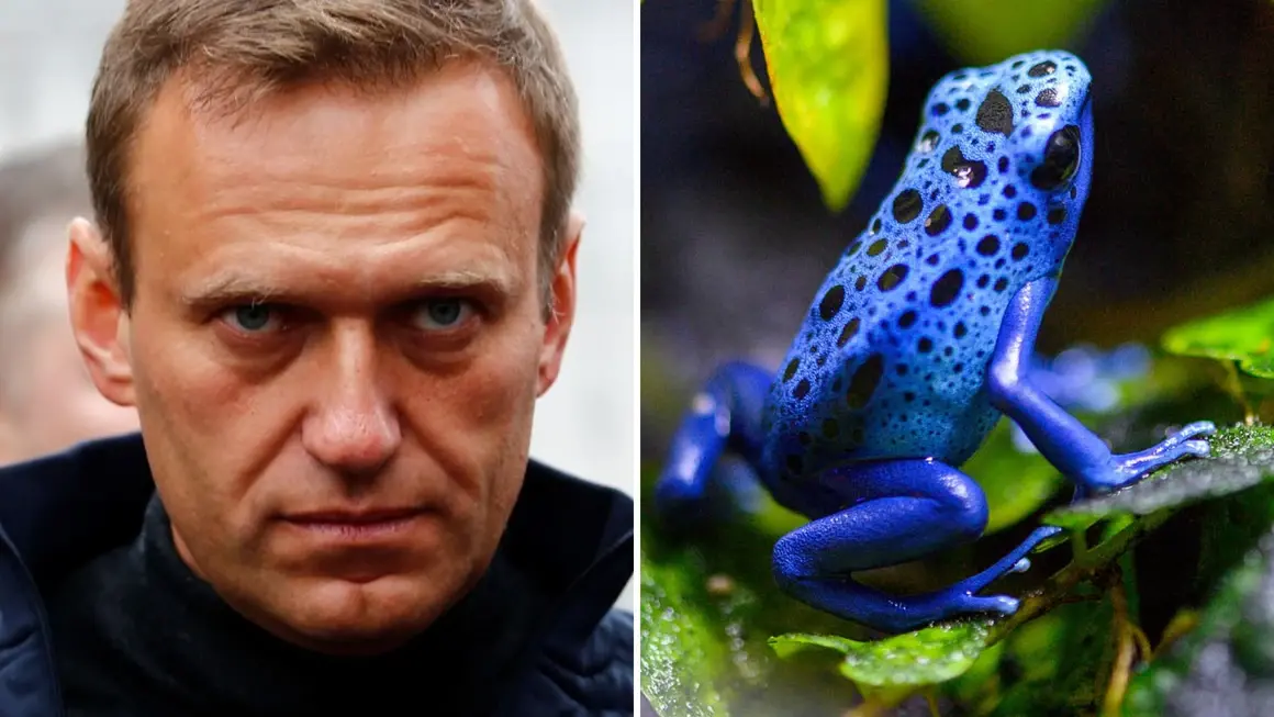 Алексей Навални е убит в затвора в Русия с токсин от жаба, обявиха пет европейски държави