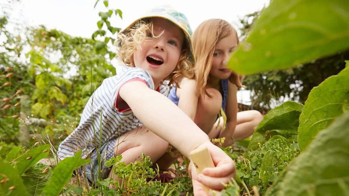 157-годишно читалище учи децата на Враца да разчитат езика на природата