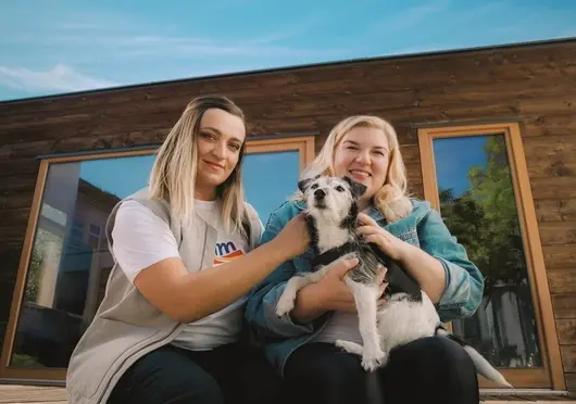 dm България насърчава доброволчеството с платформа, която свързва хората и каузите