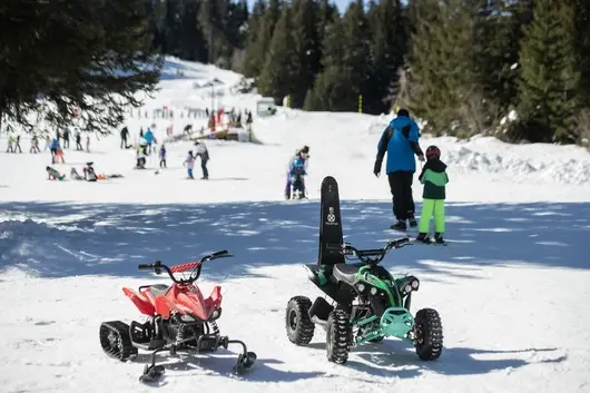 Витоша и нейните малки и по-големи тайни: пистата на "Звездица" и купонът под звездите  
