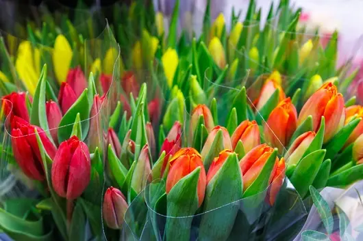 Не е нужно да е 8 март, за да подариш „Букет с кауза“