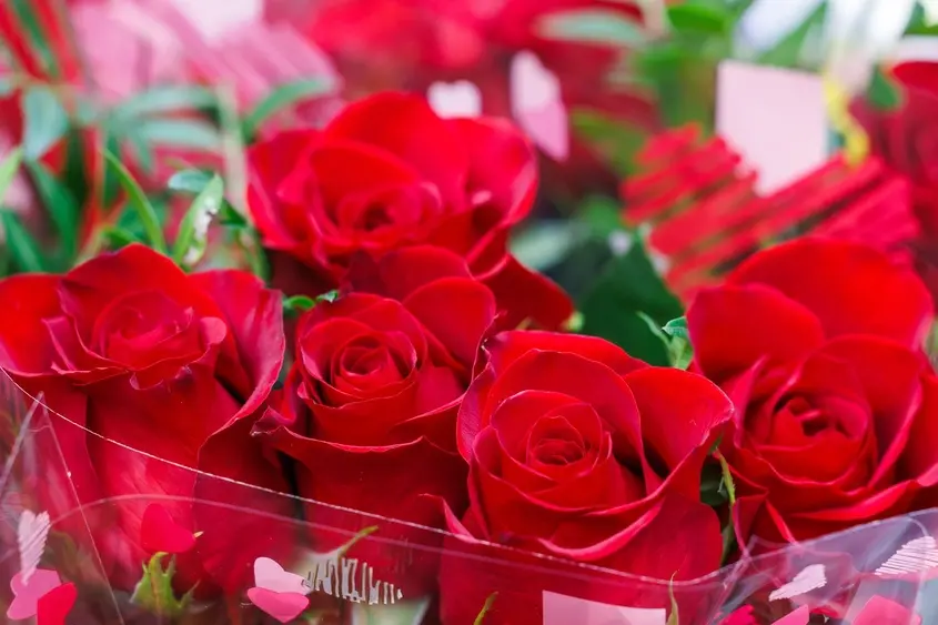 Фантастико груп