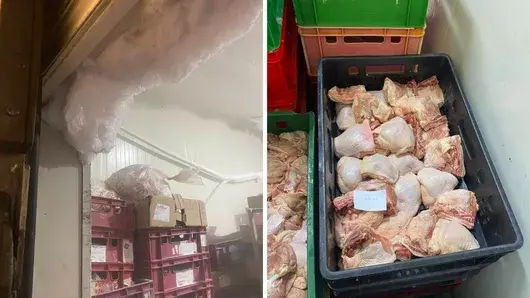 Жената на депутат на Пеевски изплува на адреса на затворения месокомбинат в Монатана