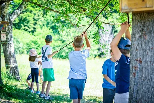 Столичната община организира летни лагери за деца на Витоша