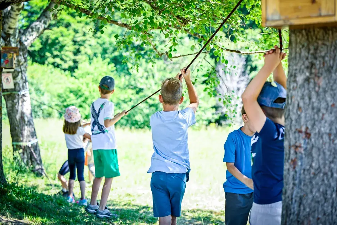 Столичната община организира летни лагери за деца на Витоша