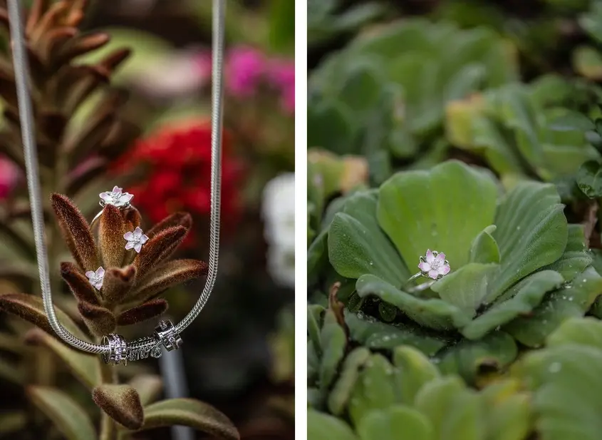 Pandora колекция Сакура