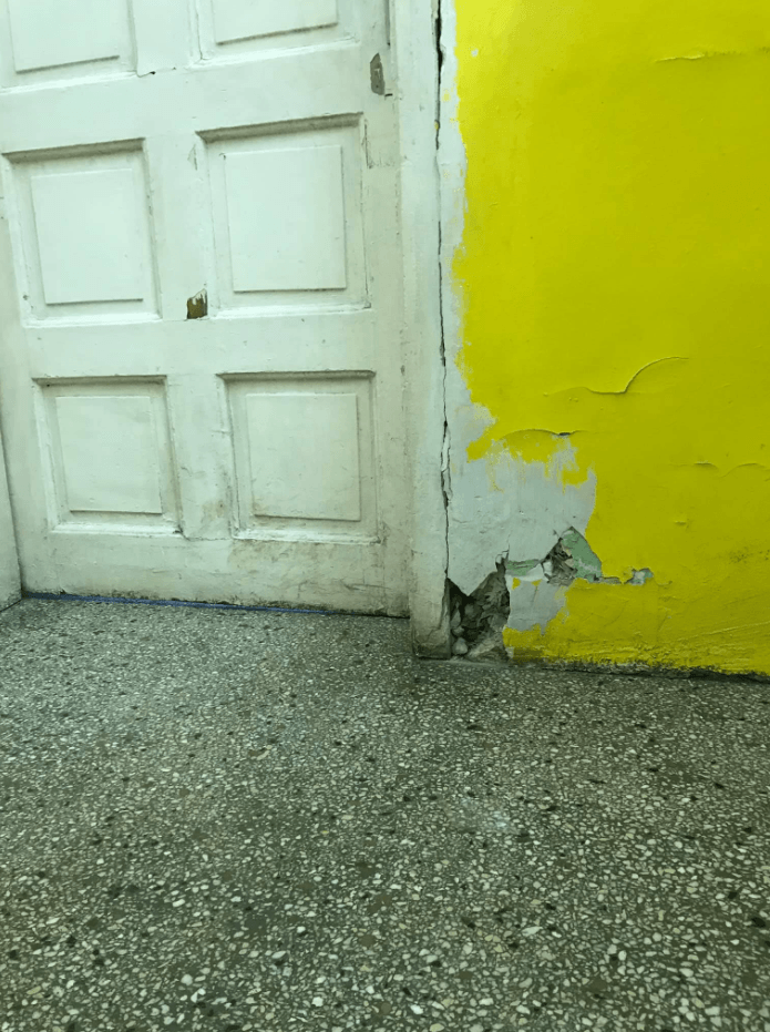 НС „Защита“ е доброволна синдикална организация на полагащите наемен труд, упражняващите свободни професии и самоосигуряващи се лица, работещите надомна работа, безработни, обединени в защита на професионалните си и социалните си интереси. Той има за цел и предмет на дейност защита на правата, достойнството, социалните и професионалните интереси на своите членове.
