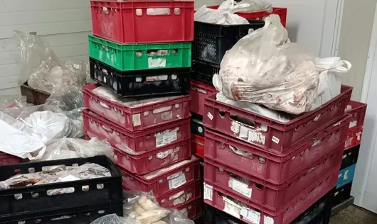 БАБХ унищожи над 7 тона месо от кланица в село Здравец