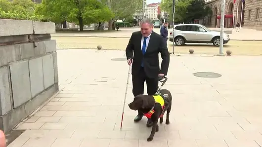 За първи път в НС: Незрящият депутат Иван Янев ще работи с кучето-водач Роувър 