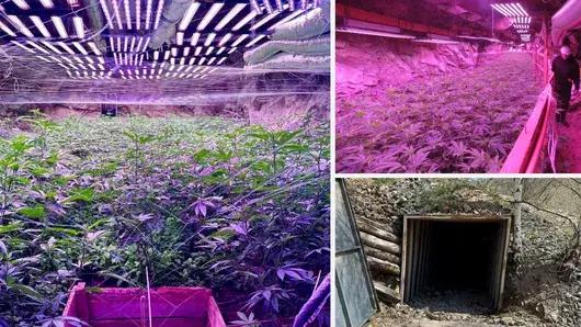 От таен вход до подземен град – как изглежда оранжерията за канабис край Кюстендил