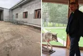 Христанов откри незаконни постройки на Румен Гайтански - Вълка в ловно стопанство "Искър"
