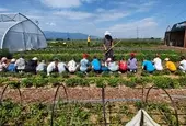 Да изядеш дъгата - уроците за храната, природата и сетивата във „Фермата на Lidl“