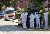 Спор за попечителството на 3-месечно бебе е довел до масовото убийство в Щаде