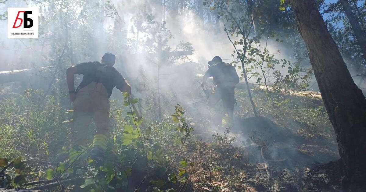 Мълния е предизвикала горски пожар на територията на Национален парк