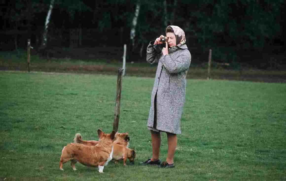 <br><br>
<b>Вярно или не? Кралицата храни кучетата си сама</b>
<br><br>
В една от последните сцени на сезона, камерата показва как Елизабет II храни коргитата си в Сандрингам. Кралицата наистина се грижи сама за любимите си животни, но в реалния живот използва стари сребърни съдове за храната - не порцеланови купички, както Оливия Колман. 